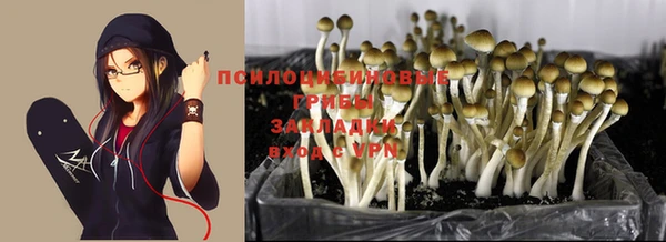 прущий лед Алексин