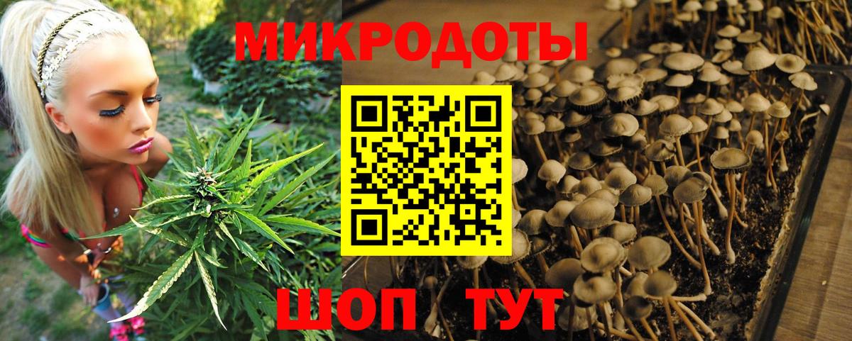 Галлюциногенные грибы Cubensis  Псилоцибиновые грибы ЛСД  Усолье-Сибирское  Вход с VPN 